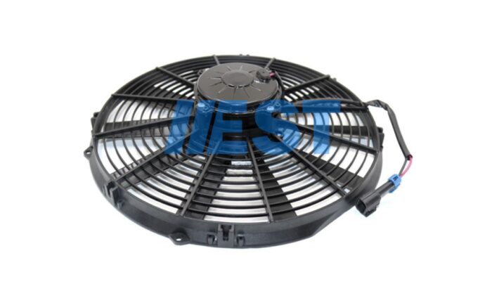 EST34065_10190119_FAN